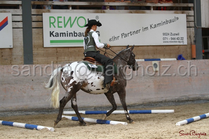26-ApHC GT_111.jpg